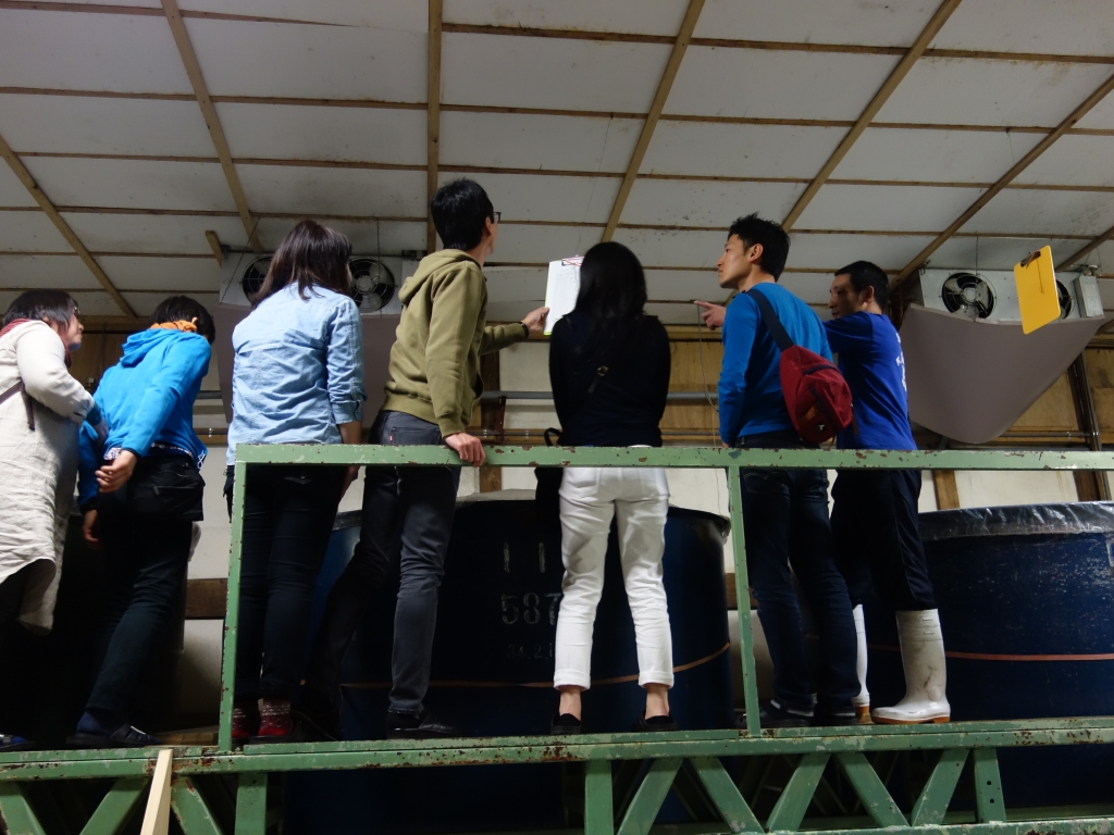 くラ見学2