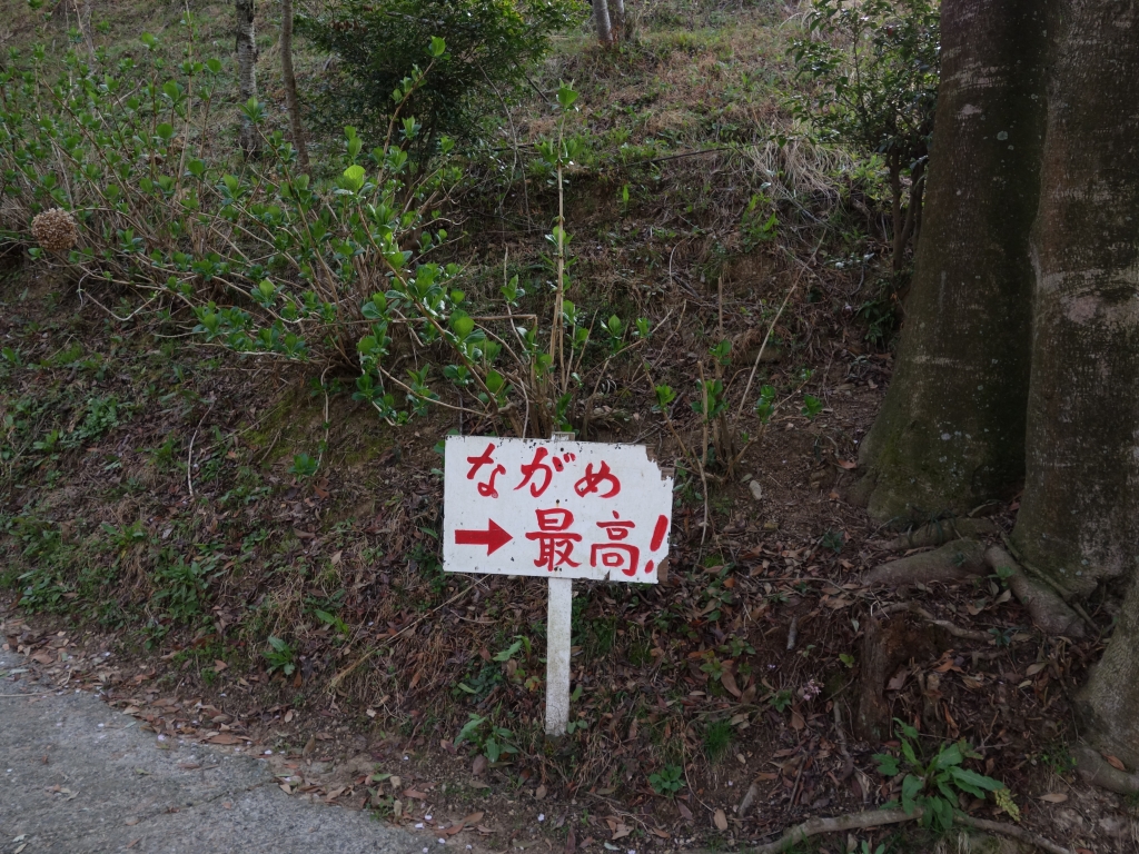景色最高