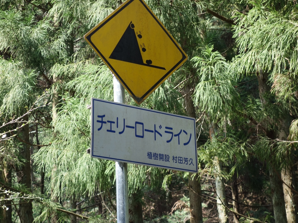 ちぇりーろーど