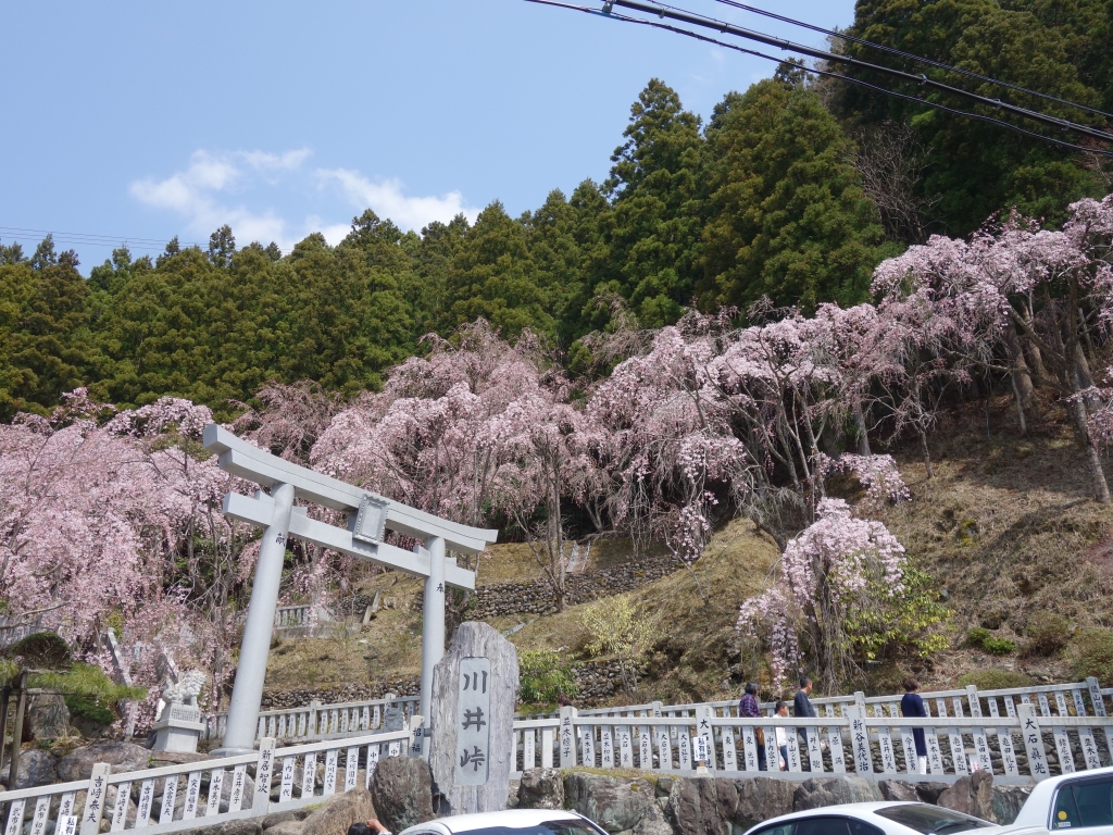 かわい2