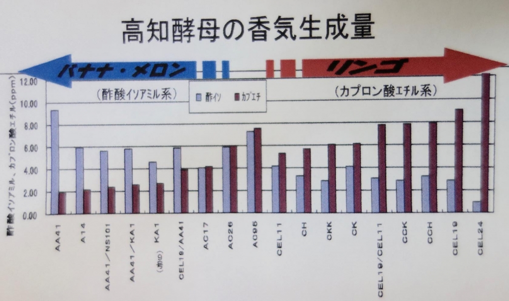 高知酵母