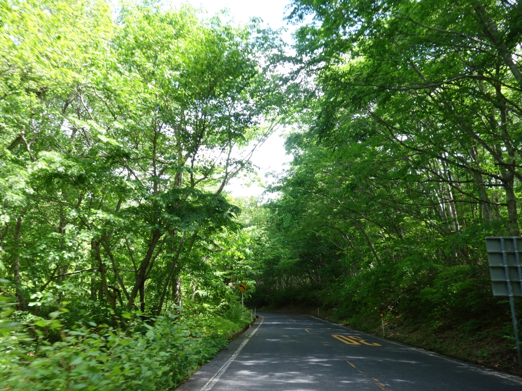 s5