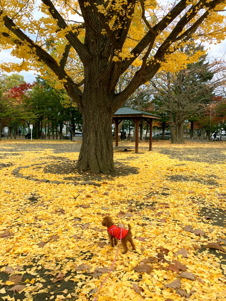 なないろレザークラフト