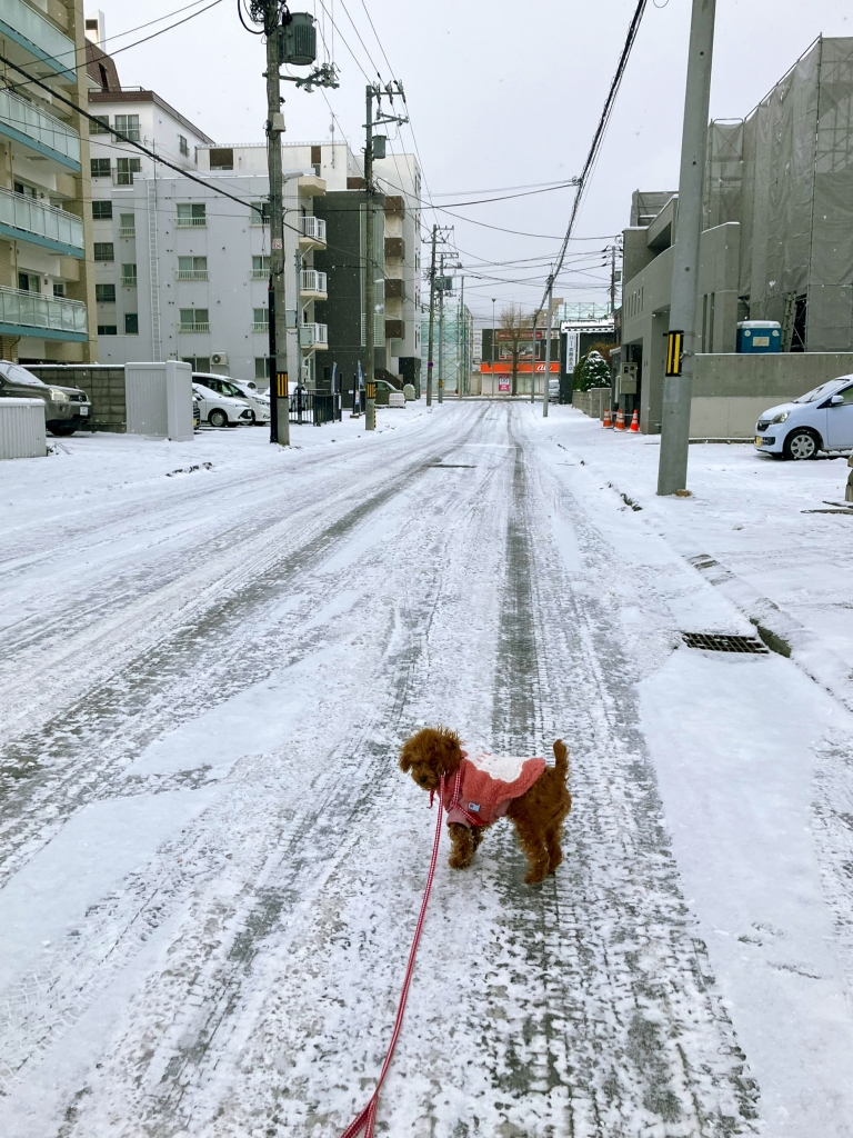 なないろレザークラフト