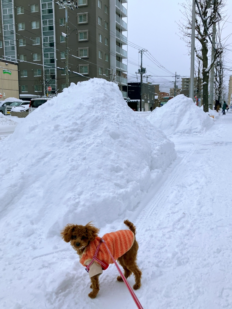 なないろレザークラフト