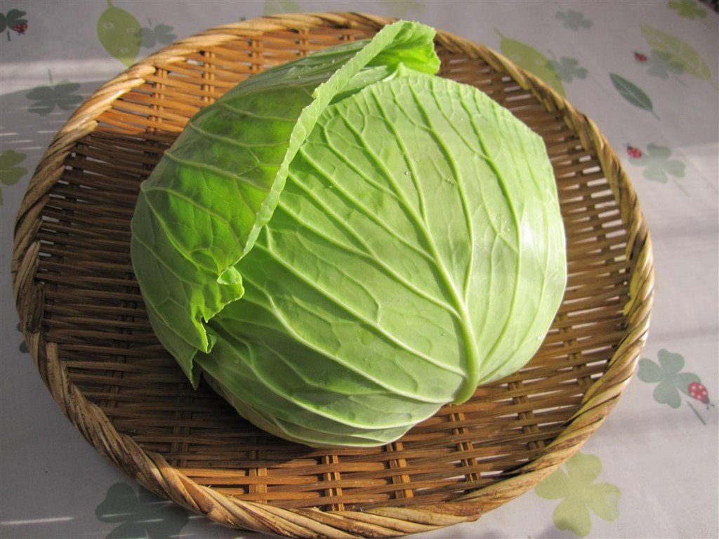 1111cabbage-point-1024x768.jpg