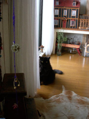 まだわかりませんか?