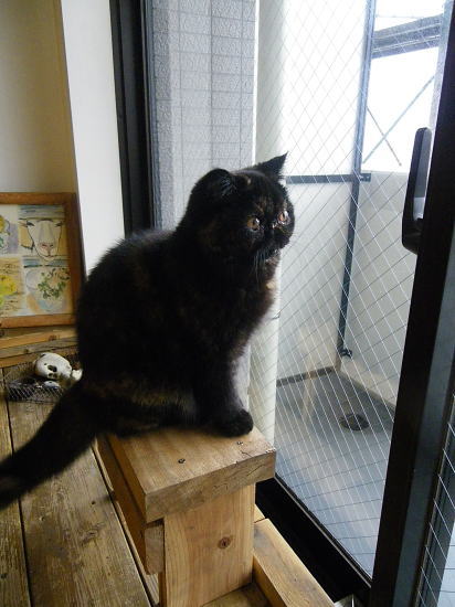 かわい横顔♪