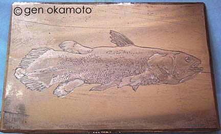 銅版画 シーラカンス