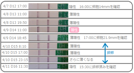 期間 排卵 陽性 検査 薬