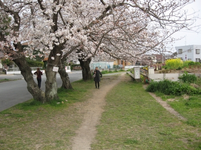 桜2009033102