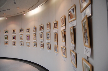 長久手展展示