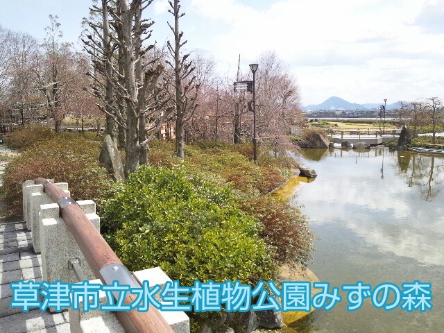 picsay-1333764423.jpg