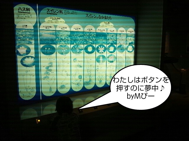 1333766094-picsay.jpg