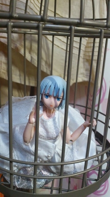 鳥籠1