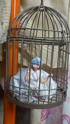 鳥籠2