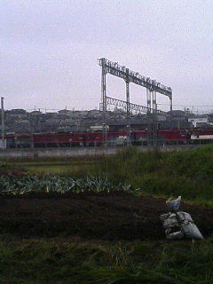 20060519_38748.JPG