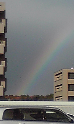 101128_1414~03.jpg