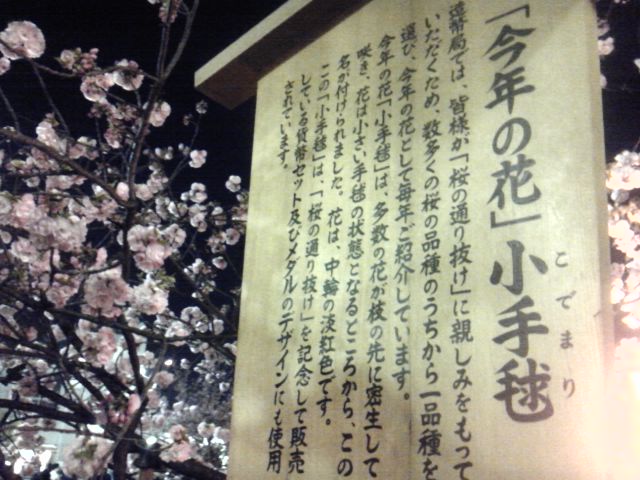 SH3F0284.jpg