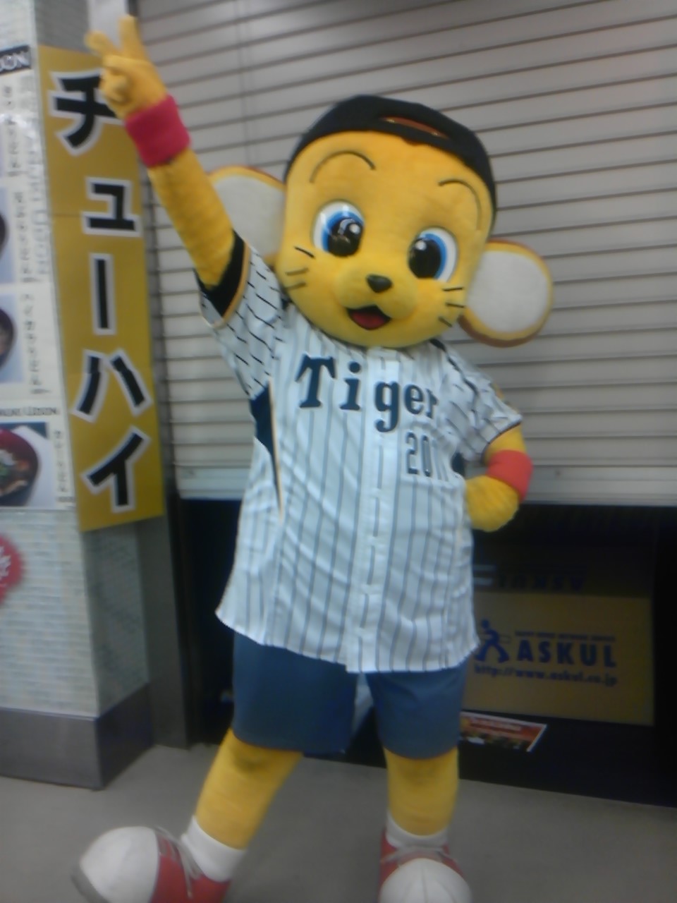 SH3F0332.jpg