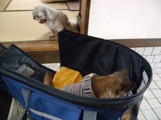 20080503-3