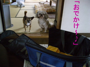 20080503-6