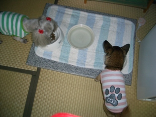過去の水容器