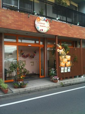 Orange Blossom