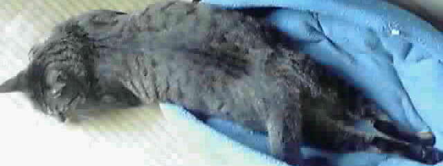 12-08-12_002~001~001.jpg