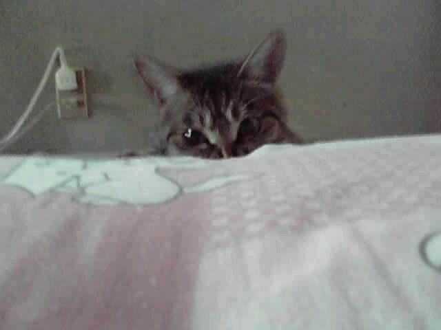 12-09-11_001~001.jpg