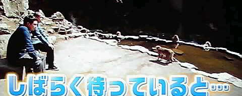 13-04-25_005~001.jpg