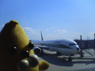 バナ夫と飛行機