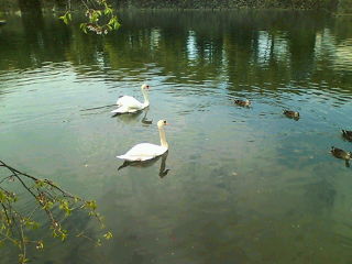 20100424083138.jpg