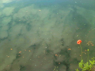 20100424083800.jpg