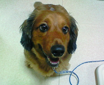 200807182254000.jpg