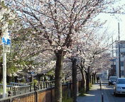 201104061528000.jpg