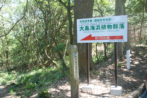 海岸遊歩道01