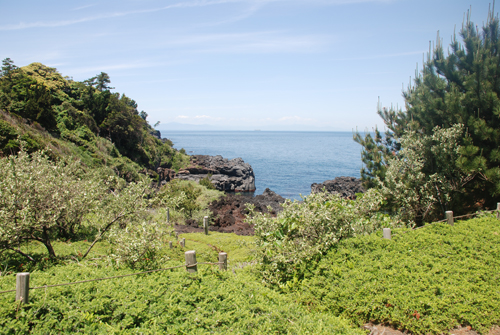 海岸遊歩道02