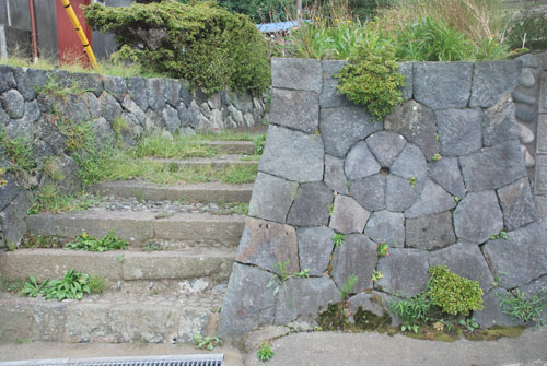 ロゲ06