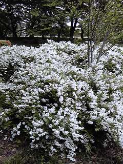 110505_1429~01.jpg