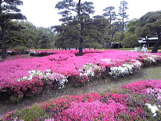 110505_1354~010001.jpg