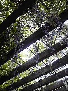 110505_1351~01.jpg