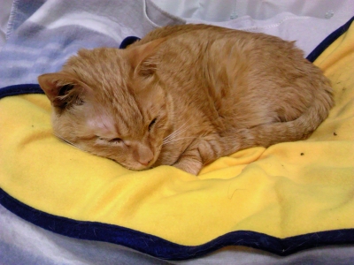 DSC_1170.JPG