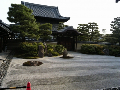 DSC_0970.JPG