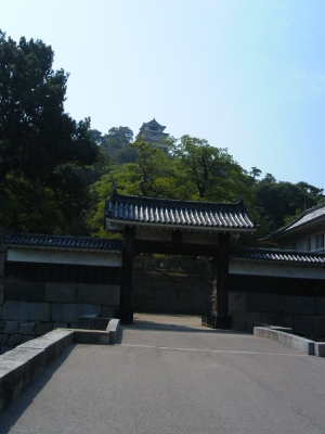 DSC_1079.JPG
