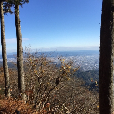 11月12日 愛宕山_518.jpg