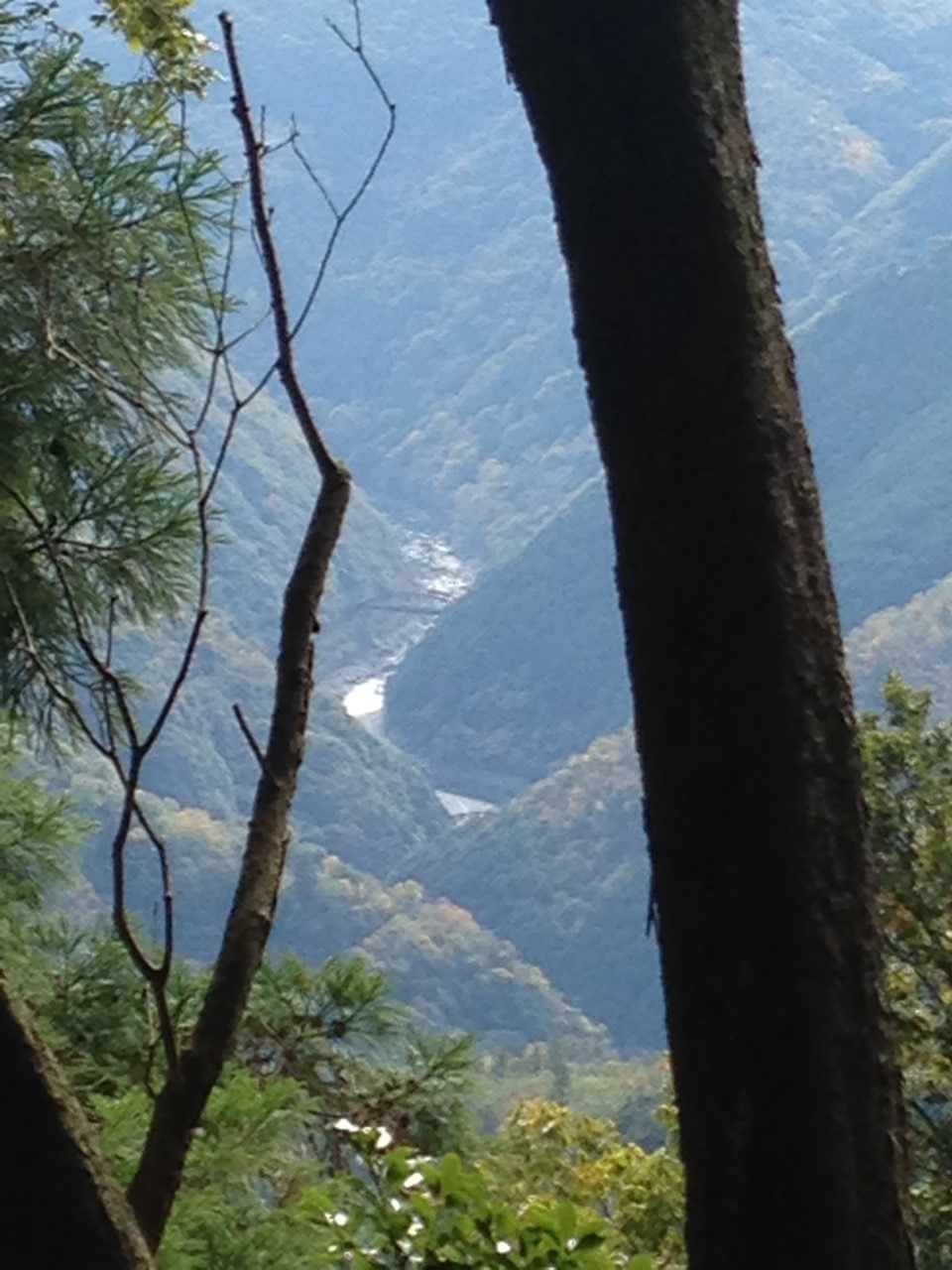 11月12日 愛宕山_1042.jpg