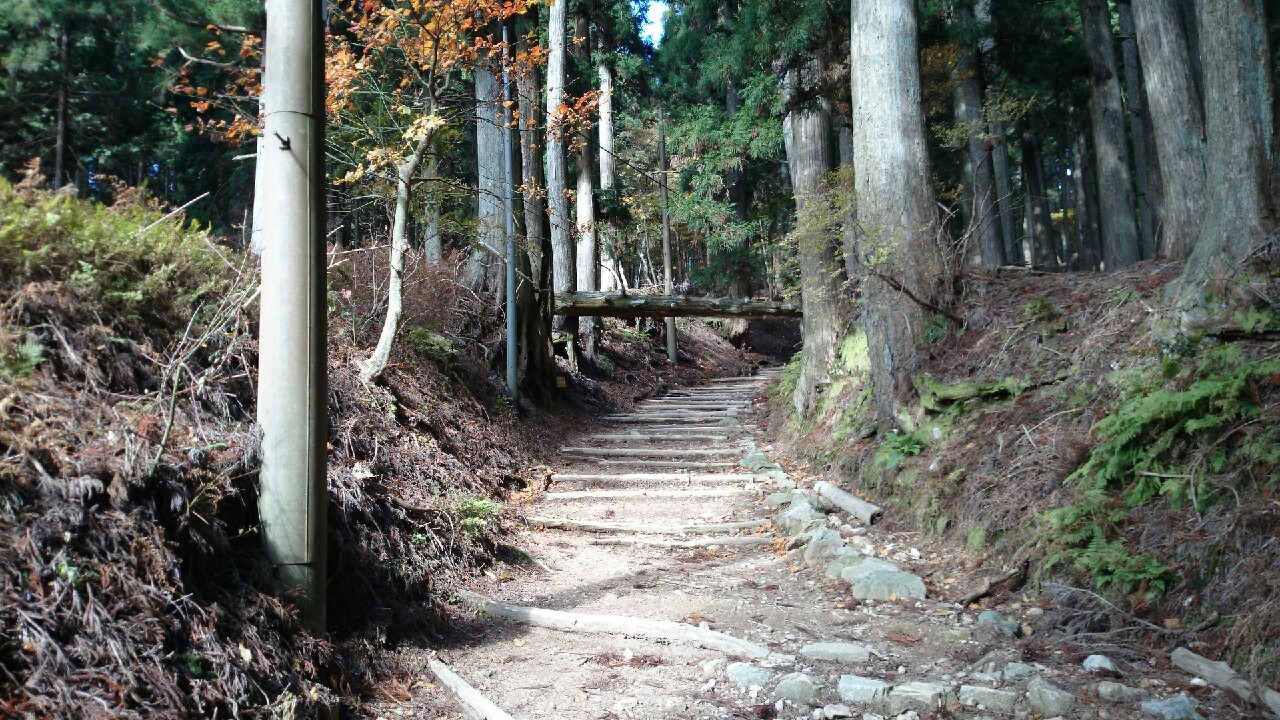 11月12日 愛宕山_2299.jpg