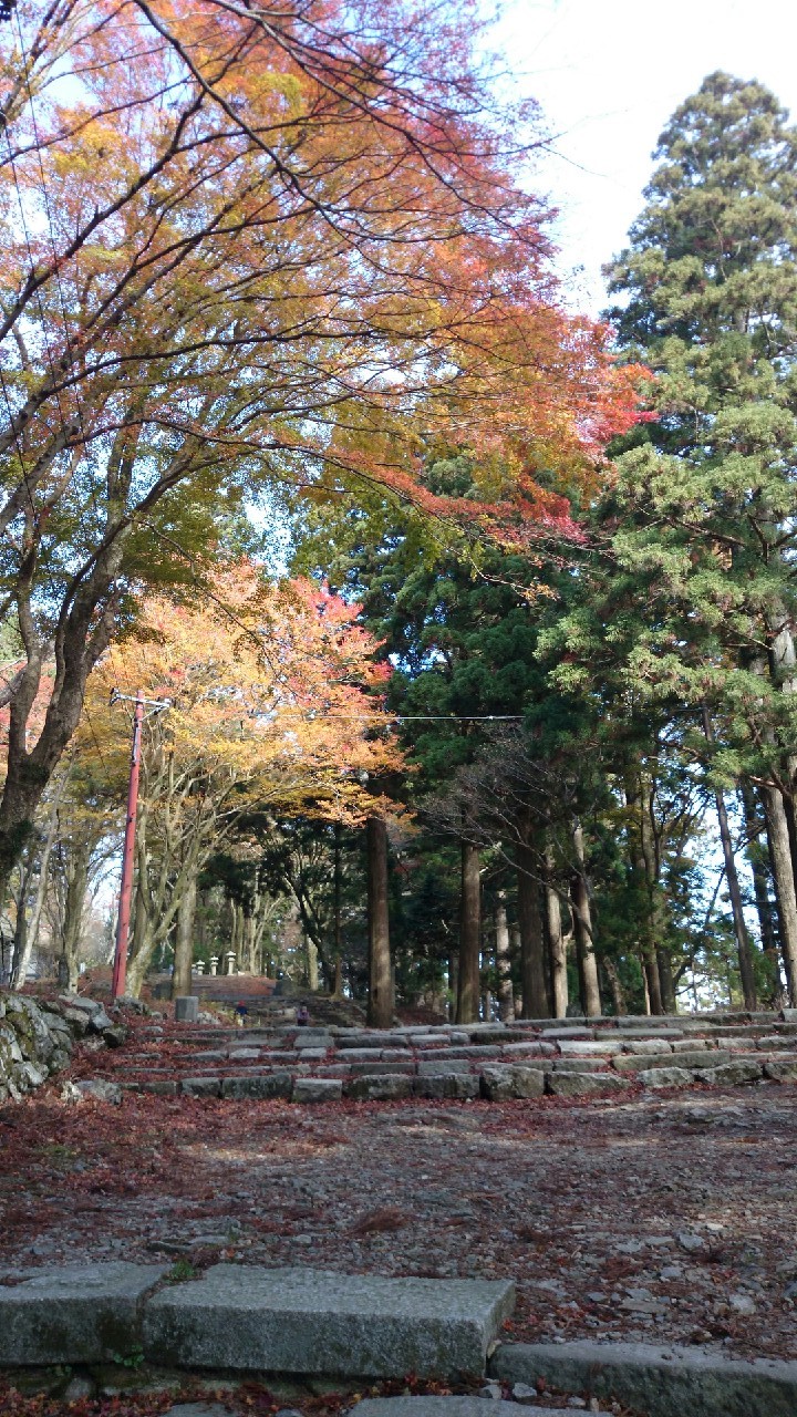 11月12日 愛宕山_2386.jpg