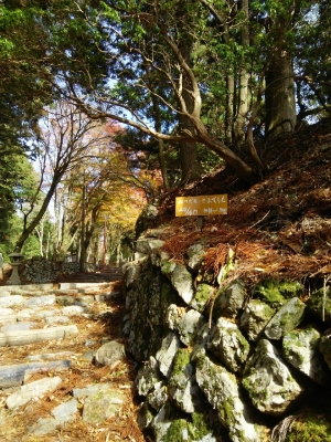 11月12日 愛宕山_4904.jpg